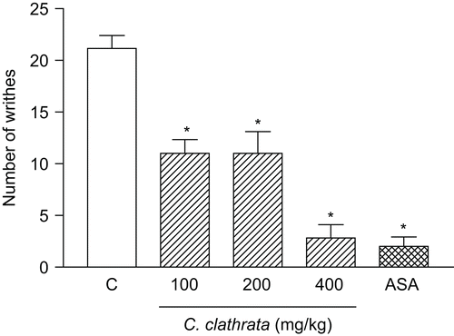 Figure 1.  Influence of C. clathrata hydroalcoholic extract (HE) in nociceptive behavior of mice evaluated in acetic acid-induced abdominal writhing model. Nociception was registered by the number of writhes that the animal presented 20 min following i.p. acetic acid (0.6%) injection. Groups of animals were pre-treated with vehicle (C, control group, n = 6, open column), aspirin (acetylsalicylic acid, ASA, 300 mg/kg, n = 6, cross-hatched column), or HE (100–400 mg/kg, n = 6/group, right-hatched columns), p.o., 60 min before acetic acid. Each column represents the mean ± SEM. Asterisks denote statistical significance, *p < 0.001, in relation to control group. ANOVA followed by Bonferroni’s test.
