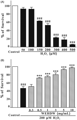 Figure 2. Examination of the cytotoxicity of H2O2 and the protective effect of WEHDW against H2O2-induced damage on LO2 cells. (A) Cells were treated with different concentrations (50, 100, 150, 200, 250, 300, 400, or 500 μM) of H2O2 for 6 h. Data were expressed as mean ± SEM of three separate experiments; ###p < 0.001 versus control. (B) LO2 cells were pretreated with WEHDW (0.3, 0.5, 1, 3, 5, or 10 mg/mL, 2 h) before challenging with H2O2 (200 μM, 6 h). Data were expressed as the means ± SEM of three separate experiments; ###p < 0.001 versus control and ***p < 0.001 versus the H2O2 alone group.
