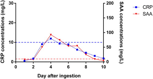 Figure 3. Course of inflammatory markers in all patients. The left Y-axis corresponds to the blue line plot to reflect the time-concentration trend of CRP, and the right Y-axis corresponds to the red line plot to reflect the time-concentration trend of SAA. The average values presented in figure. The blue-broken line represents the upper limit of normal value of CRP; the red-broken line represents the upper limit of normal value of SAA. CRP: C-reactive protein; SAA: serum amyloid-A.