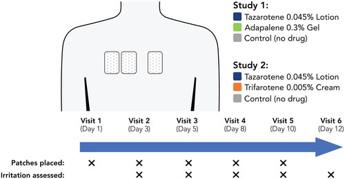 Figure 1. Study Design. Patches were placed on participants’ backs in randomized order.