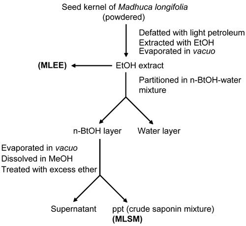 Figure 1.  Preparation of ethanol extract and saponin mixture of Madhuca longifolia seeds. Powdered seed kernels (100 g) yielded approximately 53.84 g defatted seed powder, approximately 19.32 g ethanol extract, and approximately 2.69 g saponin mixture.