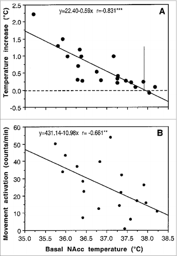 Figure 2. Relationships between basal brain (NAc) temperature and its changes induced by cocaine (1 mg/kg, iv) in freely moving rats (A). As can be seen, cocaine-induced NAc temperature increase (assessed as a peak value) was stronger when basal NAc temperatures were lower and weaker when basal temperatures were higher (r = −0.831; p < 0.001). Cocaine-induced locomotor activation was also dependent upon basal NAc temperature (r = −0.661; p < 0.01) but correlation was weaker in this case. Vertical line in (A) shows intersection of the regression line with the line of no effect, suggesting that the hyperthermic effect of cocaine disappears when basal NAc temperature is close to 38°C.