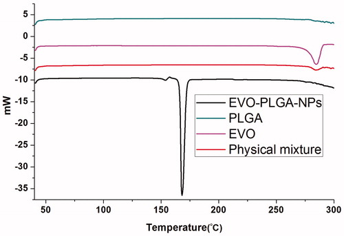 Figure 3. The DSC curves of physical mixture EVO, PLGA, and EVO-PLGA NPs.