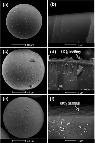 FIG. 3 SEM image of the glass beads used for the FBAG: uncoated glass beads (a, b); 5–15 nm silica-coated glass beads (c, d); and 100 nm Stöber-silica-coated glass beads (e, f). The cross-sectional close-ups in images (b), (d), and (f) show the changes in surface texture after the coating.