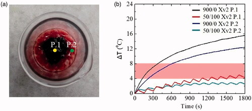 Figure 8. (a) Points (P.1, P.2) where magnetic hyperthermia measurements were performed, (b) ΔΤ curves measured at these points (P.1, P.2) in continuous and intermittent mode of magnetic field application in the ex vivo tumor–healthy tissue interface system Xv2. Hyperthermia window appears as a shaded band.