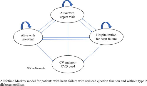Figure 1. A lifetime Markov model for patients with heart failure with reduced ejection fraction and without type 2 diabetes mellitus.