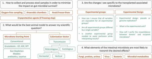 Figure 4. Key questions when designing an FMT experiment