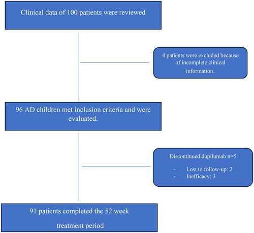 Figure 1. Flow diagram showing number of patients screened, included and dropouts.