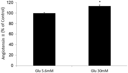 Figure 4. Effects of high glucose on angiotensin II concentrations in the cell media in HK2 cells. *Denotes significant alterations at p < 0.05 when compared to control group (5.6 mM glucose). Glu, glucose.