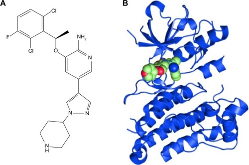 Figure 1 Chemical structure of crizotinib (A) and ALK in complex with crizotinib (B).