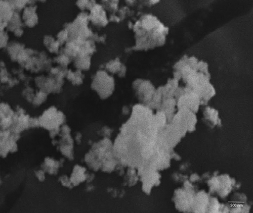 Figure 2. SEM Image of DOX-loaded ZnO Nanoparticles.