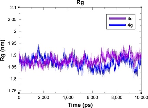 Figure 9 Rg graphs of 4e and 4g docked complexes are shown in purple and blue respectively from 0–10,000 ps time scale.