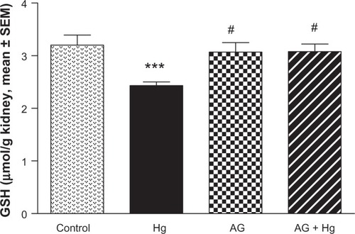 Figure 4 Effect of Hg, AG, and their combination on the levels of reduced GSH in rat renal tissues.