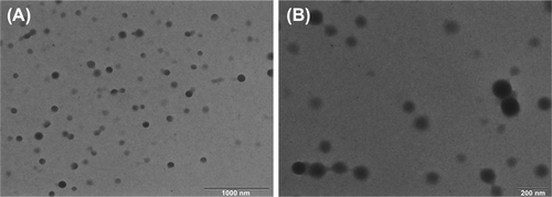 Figure 6. Transmission electron image (TEM) of chitosan/DNA complexes. The average size of complexes is 200 nm. The image A is at lower magnification with the bar equal to 1000 nm and image B is at higher magnification with the bar equal to 200 nm. (Adapted from CitationNimesh et al. 2012).