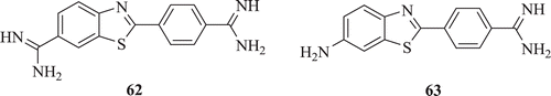 Figure 16.  Chemical structure of amidino-nitro and amidino-amino substituted benzothiazoles.