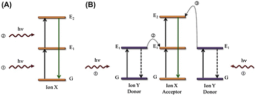 Figure 3. (A) In the ESA mechanism, an incoming pump photon of a wavelength resonant with the E1 − G energy gap excites ion X from G to E1. A second incoming pump photon promotes the ion from E1 to E2, followed by a visible emission and relaxation of the ion to the G state. (B) In the ETU mechanism, an incoming pump photon promotes both donor ions Y (ion with higher absorption cross section) to the intermediate excited state E1. A non-radiative energy transfer occurs from the donor ion Y to the acceptor ion X that results in the promotion of the latter to the E1. A second energy transfer promotes the acceptor to the excited state E2. Finally, the donor ions relax back to their ground state, while the acceptor ion undergoes a radiative decay returning to the ground state. Reprinted with permission from [Citation37]. Copyright © 2015, John Wiley and Sons.