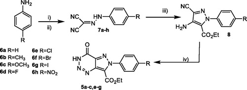 Scheme 2. Synthesis of hydrazones 7a–h and pyrazoles 8a–h, precursor of the pyrazolotriazinones 5, previously designed. (i) aq. NaNO2 [1.0 mmol], HCl [13.4 mmol] , 0 °C, 30 min; (ii) CH2(CN)2 [1.5 mmol], NaOAc.3H2O [31.0 mmol], H2O [8.5 ml], 0 °C, 2 h; (iii) Br-CH2-CO2Et [2.7 mmol], K2CO3 [1.0 mmol], DMF [3 ml], 90 °C, 5–7 h; (iv) NaNO3 [1.8 mmol], HCl:AcOH 3:1 [20 ml], 0–5 °C to r.t., 20 h.