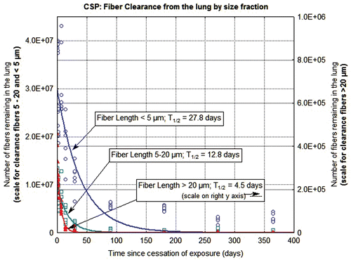 Figure 5.  The clearance of fibers from the lung through 365 days postexposure is shown for CSP-exposed animals. The data and clearance curves for fibers < 5 µm in length, fibers 5–20 µm in length, and fibers > 20 µm in length are presented. (Note that the axis for the number of fibers remaining in the lung > 20 µm is on the right side of the graph.)