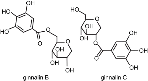 Figure 2.  Chemical structures of ginnalins B and C.