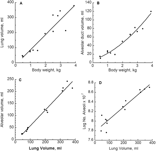 Figure A–1.  For female rhesus monkeys, best fitting regression models showing the relationships among various variables and body weight or lung volume. Panel A: lung volume vs. body weight, with linear curve. Panel B: alveolar duct volume vs. body weight, with quadratic curve. Panel C: alveolar volume vs. lung volume, with linear curve. Panel D: log of the number of alveoli vs. lung volume, with a linear curve. See Table A-1 for the coefficients of the fitted regression models.