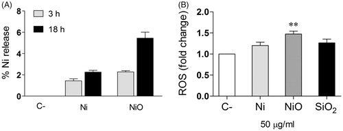 Figure 6. Conditioned media – Ni ion release and ROS formation. (A) The amount of Ni release (% of added) was analyzed in the CM by using ICP-MS. (B) HBEC cells were exposed to the CM and ROS formation (fold change compared to control) was analyzed by the DCFH-DA assay. The bars show mean ± SEM and significant differences compared to the control are marked with asterisks (* for p-value < 0.05, ** for p-value < 0.01, *** for p-value < 0.001).