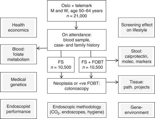 Figure 2. The NORCCAP trial on flexible sigmoidoscopy screening (white squares) with add-on study topics (gray squares) having resulted in 48 original scientific publications and 10 PhDs (per January 2015).