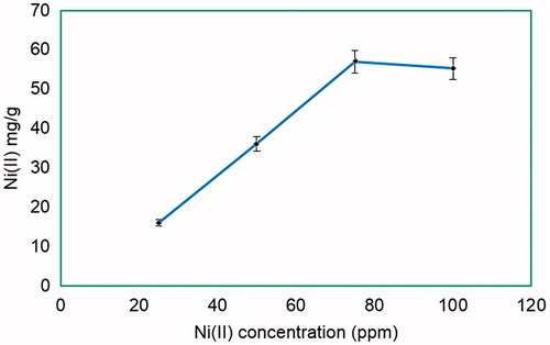 Figure 1. Effect of initial Ni(II) concentration on Ni(II) loading amount and optic photo of Ni(II) attached and plain PHEMA cryogel. IDA content: 8.27 mmol/g, flow rate: 1 mL/min, pH 7.0 HEPES, t: 2 h, T: 20 °C. mdry cryogel: 0.41 g.