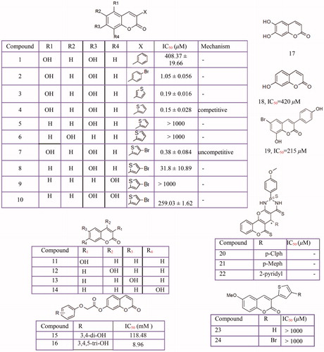 Figure 6 Inhibitory effects of the coumarins derivatives against mushroom tyrosinase activity: 3-aryl and 3-heteroarylcoumarins (1–10, 23–24), 3-hydroxycoumarin (11), 4-hydroxycoumarin (12), 6-hydroxycoumarin (13), 7-hydroxycoumarin (14), umbelliferone analogs (15–16), Esculetin (17) umbelliferone (18), 3-phenyl coumarins with bromo substituent (19), thiophosphonic acid diamides (20–22).