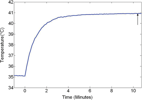 Figure 3. The temperature change recorded by the thermocouple inserted in the middle of the limb. The vertical arrow represents the time when the steady state was established. After that, temperature measurements along the tissue path were performed.