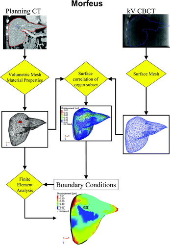 Figure 1.  The MORFEUS Algorithm: Contours of the liver and tumor from the planning CT are converted into a volumetric mesh with assigned material properties. Contours of the liver from the kV CBCT are converted into a surface mesh. Boundary conditions are determined from the surface correlation of the livers, which generates boundary conditions. These boundary conditions are used to solve for the deformation map of the entire liver volume, including the tumor, using finite element analysis.