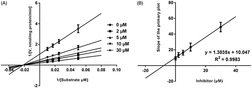 Figure 3. Lineweaver–Burk plots (A) and the secondary plot for Ki (B) of effects of bergenin on CYP3A4 catalyzed reactions (testosterone 6β-hydroxylation) in pooled HLM. Data were obtained from 30 min incubation with testosterone (20–100 μM) in the absence or presence of bergenin (0–30 μM). All data represent mean ± S.D. of the triplicate incubations.