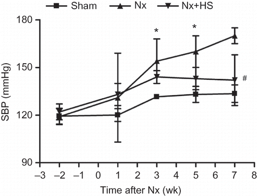 Figure 5. Hypertension in chronic kidney disease is attenuated by Hibiscus sabdariffa Linn. (HS). Systolic blood pressure measurements are plotted at multiple time points after 5/6 Nx for the sham control rats (sham: n = 4), placebo-treated 5/6 Nx rats (Nx: n = 8), and HS-treated 5/6 Nx rats (Nx+HS: n = 8).Notes: * Indicates that the p < 0.05 is between the Nx+HS group and the sham group. # Indicates that the p < 0.01 is between the Nx+HS group and the Nx group.