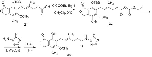 Scheme 5. Synthesis of N-(2,3,5-triazoyl)mycophenolic amide 30Citation42.
