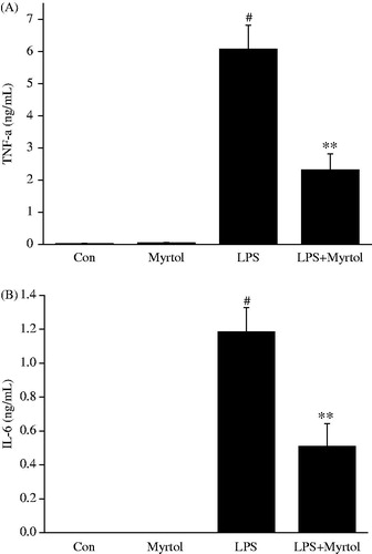 Figure 3. Effect of standardized myrtol on the levels of TNF-α and IL-6 in BALF of LPS-induced ALI mice. Standardized myrtol at doses of 1200 mg/kg were administrated 1.5 h before LPS challenge. Mice were killed 6 h after LPS challenge and bronchoalveolar lavage was performed. The levels of TNF-α (A) and IL-6 (B) in BALF were examined. All values are mean ± SEM (n = 6). #p < 0.05, significant compared with vehicle-treated control; *p < 0.05, significant compared with LPS alone; **p < 0.01, significant compared with LPS alone.