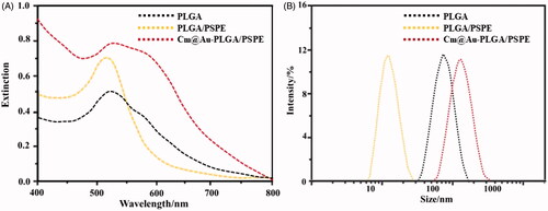Figure 3. (A) UV-vis spectroscopy of carmustine (Cm) gold co-loaded with PLGA-PSPE nanocomposites recorded at different wavelengths. (B) Dynamic light scattering (DLS) analysis of Cm-Au-PLGA-PSPE showing the particle size of nanocomposites.