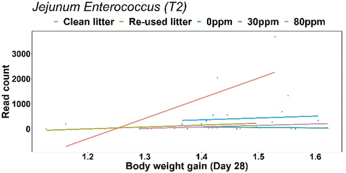 Figure 1. Jejunal enterococcus abundance Vs body weight gain at day 28 (T2).