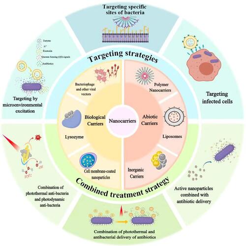 Figure 1 The targeted and combined strategies for antibacterial treatment with application of abiotic and biological nanocarriers.