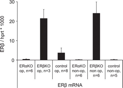 Figure 3. ERβ expression in ERαKO, ERβKO and littermate wild type control mice 12 days after induction of myocardial infarction and in non-operated groups. In the infarcted specimens periinfarct tissue was used. Values are mean with SEM.