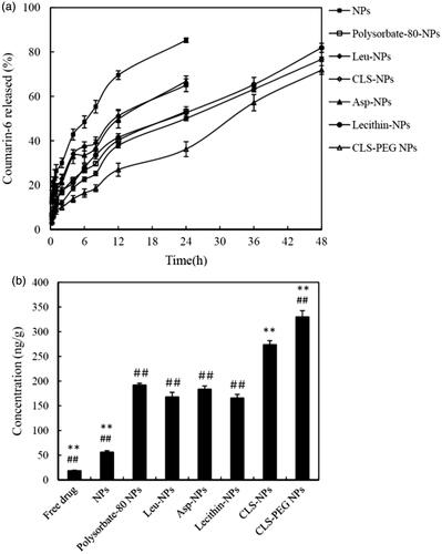 Figure 1. (a) The in vitro release profiles of NPs. (b) Mean concentration of C6 in brains after IV administration of C6 formulations to rats at a dose of 0.5 mg/kg (mean ± SD, n = 3). **p < 0.01 versus the polysorbate-80 NPs group. ##p < 0.01 versus the CLS NPs group.