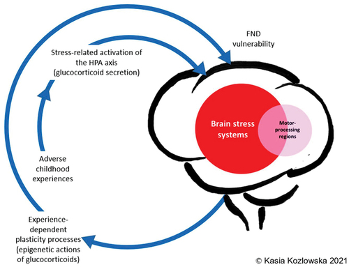 Figure 5. Visual representation linking adverse life experiences, stress system activation, and epigenetic/plasticity processes that increase vulnerability for FND. © Kasia Kozlowska 2021, reproduced with permission.