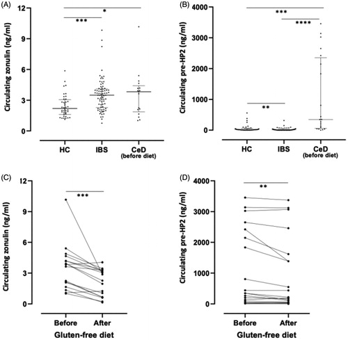 Figure 4. Circulating levels of zonulin and pre-haptoglobin 2 (HP2) in healthy controls (HC), patients with irritable bowel syndrome (IBS) and patients with celiac disease (CeD) before and after gluten-free diet. (A) Zonulin concentrations measured by Cusabio ELISA kit in plasma from 40 HC and 78 patients with IBS and in serum from 17 patients with CeD (B) Pre-HP2 concentrations measured by ELISA using pre-HP2 monoclonal antibody (Bio-Rad) in plasma from 40 HC and 78 patients with IBS and in serum from 20 patients with CeD. (C) Zonulin concentrations measured by Cusabio ELISA in serum from17 patients with CeD before and after gluten-free diet. (D) Pre-HP2 concentrations measured by ELISA using pre-HP2 monoclonal antibody (Bio-Rad) in serum from 20 patients with CeD before and after gluten-free diet. Data is expressed as median with interquartile range (A, B) or as mean values (C,D). One-way ANOVA Kruskal–Wallis followed by Dunn’s multiple comparison post hoc test (A,B), or non-parametric Wilcoxon matched-pair rank (C,D) were used for comparisons, *p < .05; **p < .01; ***p < .001 and ****p < .0001.
