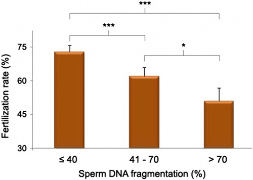 Figure 1.  Relationship between sperm DNA fragmentation and fertilization rate. Bar chart showing decrease in fertilization rate with increase in DNA fragmentation in the native system. Significance at *P < 0.05, ***P < 0.001.