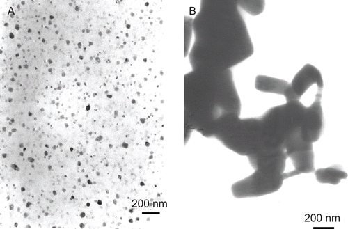Figure 1.  Transmission electron microscopy (TEM) image of ultrafine (A) and fine (B) particles in phosphate-buffered saline (PBS) containing ovalbumin (OVA).