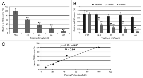 Figure 3. ASO treatment greatly reduced AAT levels in CD-1 mice. (A) Dose-dependent reduction of mouse AAT mRNA levels in CD-1 mice after mAAT-ASO treatment. (B) Dose-dependent reduction of circulating mouse AAT in CD-1 mice after mAAT-ASO treatment. mAAT protein was measured with an ELISA method according to manufacturer’s recommendations (Alpco 41-A1AMS-E01). (C) Correlation between liver AAT mRNA reduction and plasma protein reduction. Six-week-old CD-1 mice were treated for 6 wk with the indicated doses of mAAT-ASO via subcutaneous injection. Mouse AAT mRNA levels in liver were quantified by qRT-PCR (TaqMan) and plasma AAT levels were determined by an ELISA method (Alpco 41-A1AMS-E01). Results represent means ± standard deviations (n = 4). **P < 0.01 by one-way ANOVA with Tukey’s comparisons for panel A and repeated measures two-way ANOVA with Bonferroni’s post-hoc tests for panel B.