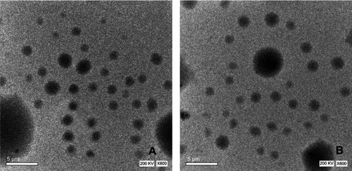 Figure 2 (A and B) Images obtained by transmission electron microscopy (TEM) for (A) PE3 and (B) GE3.