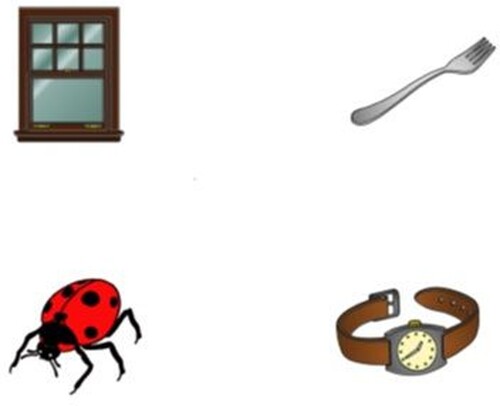 Figure 1. Example of a visual display containing a target, phonological competitor and two neutral distractors. In this display, the target word is fenêtre “window”, the phonological competitor is fourchette “fork” and the neutral distractors are coccinelle “ladybird” and montre “watch”.