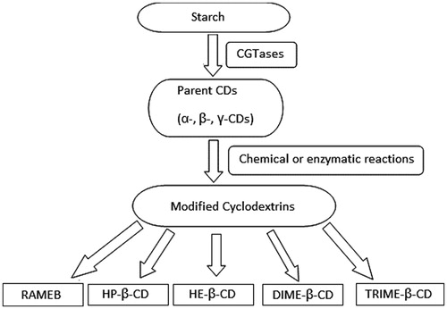 Figure 1. Parent and representative modified cyclodextrins of pharmaceutical interest [RAMEB: Randomly methylated β-cyclodextrin; HP-β-CD: Hydroxy propyl β-cyclodextrin; HE-β-CD: Hydroxy ethyl β-cyclodextrin; DIME-β-CD: Heptakis (2, 6-dimethyl)-β-cyclodextrin; TRIME-β-CD: Heptakis (2, 3, 6-trimethyl)-β-cyclodextrin].
