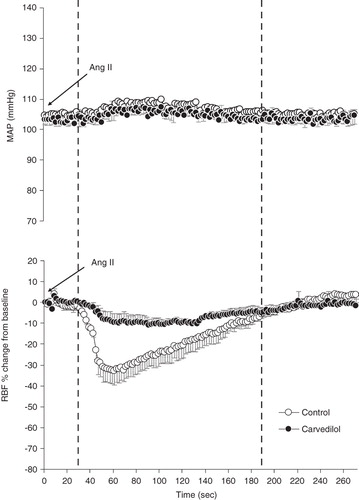 Figure 1. Time course of the renal vasoconstrictor response to Ang II. MAP changes (top) and RBF response (bottom) following the administration of a bolus injection (20 ng) into the renal artery. The delay of about 30 s at the beginning of the response is due to the travel time in the cannula before reaching the renal vasculature. Stippled lines denote ± SEM, n = 5 rats.