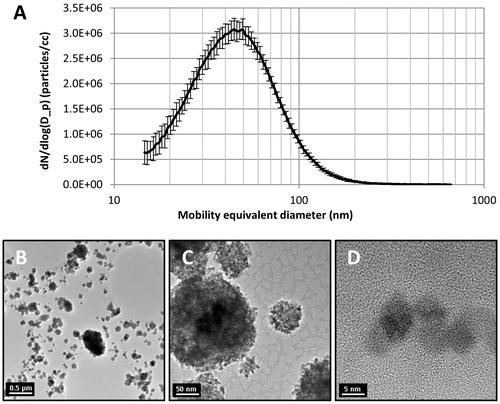 Figure 1. (A) CeO2NP aerosol particle size distribution. (B–D) Transmission electron microscope images of CeO2NP aerosol particles illustrating clear crystalline form (D).