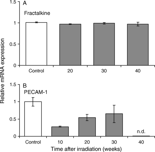 Figure 4.  Relative mRNA expressions of genes encoding fractalkine (A) and PECAM-1 (B). Messenger RNAs were analyzed by real-time PCR assays and normalized for GAPDH, a housekeeping gene.